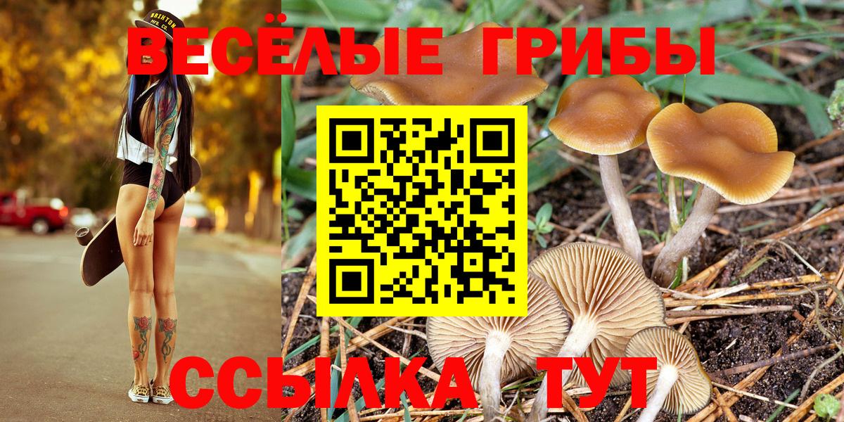 Меф МЯУ МЯУ   Пыть-Ях  КОКАИН  Вход с VPN  Вейп ТГК  Конопля  Альфа ПВП СК   Гашиш 